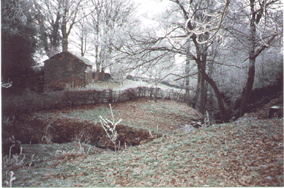 Snow at Mill Close Farm